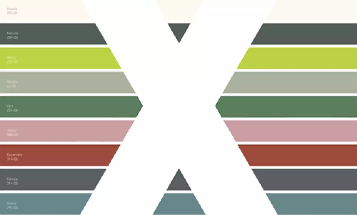 Endémcio paleta de colores Comex