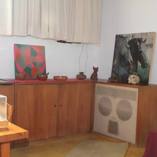 Aspectos de la Casa Luis Barragán