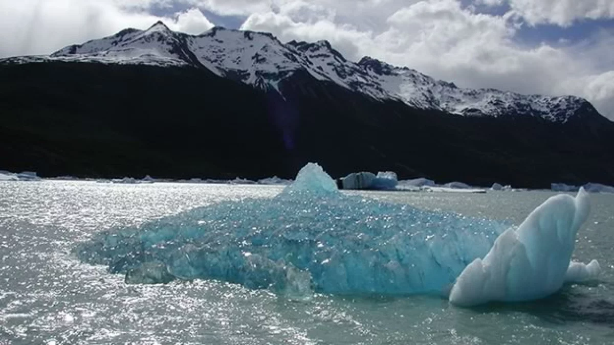 nivel del mar puede aumentar 1.6 metros por el deshielo del ártico