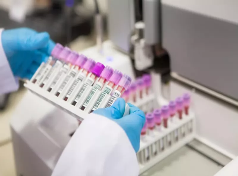 laboratorio mexicano