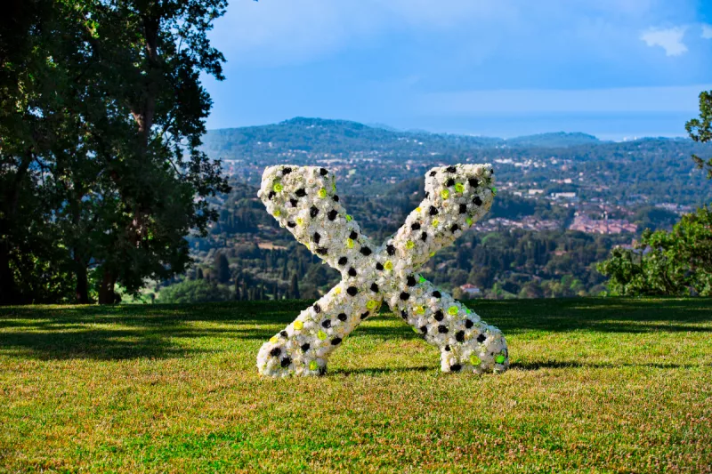 Foto de un paisaje abierto con montañas de Grasse, en Francia, y una X hecha de flores.