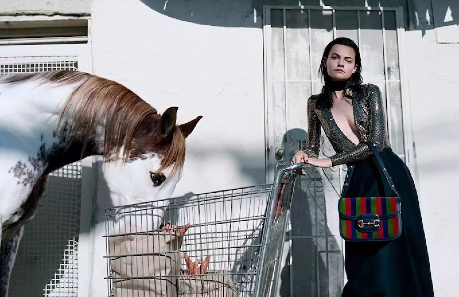 GUCCI-8