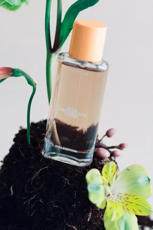 perfume-zara.jpeg