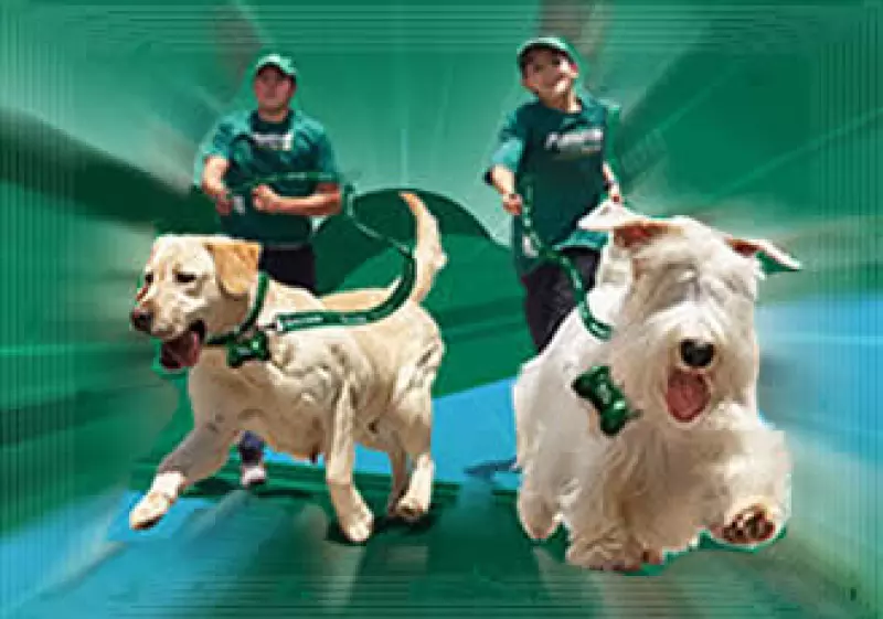 Purina espera la llegada de hasta 6,000 personas en la carrera del 13 de junio. (Foto: FOTOARTE: Jorge Márquez)