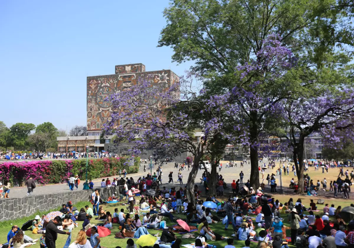 ¿Cuándo regresa a clases la UNAM y el IPN? Calendarios escolares 2025