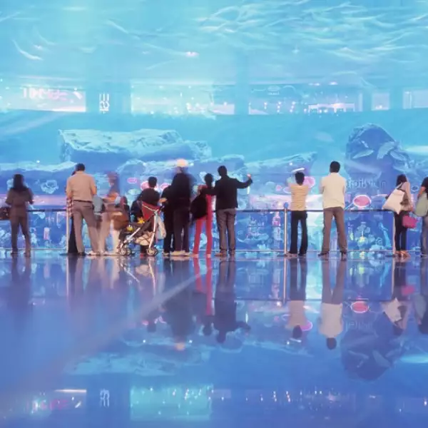 Más de 140 especies animales conviven en un zoológico acuático y en un tanque submarino dentro del centro comercial. 