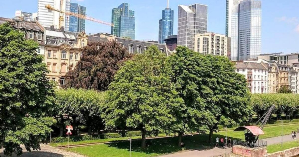 Almanya Edomex öğrencilerine verecek