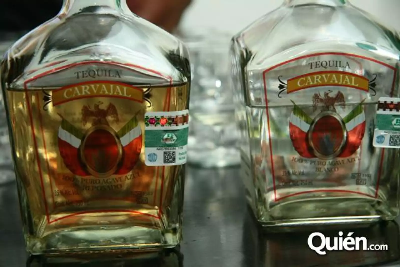 Presentación Libro Icons.