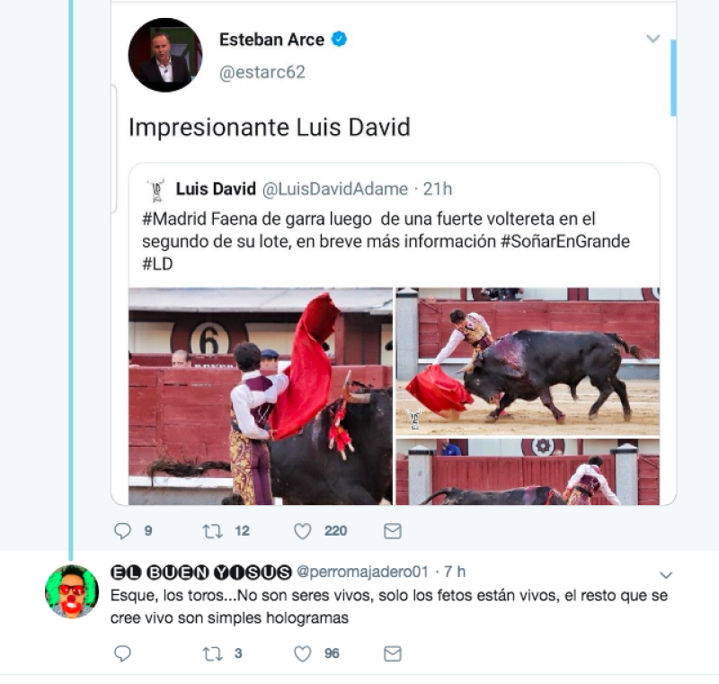 ARCEtoros.png