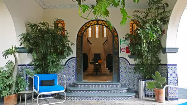 Pug Seal Polanco, hotel boutique, con plantas al exterior de la entrada. 