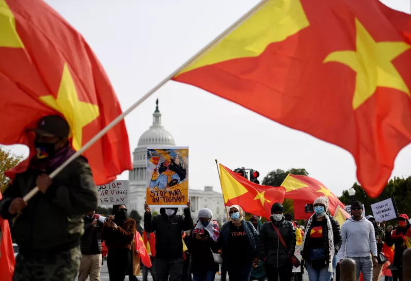 Manifestantes con banderas de Togray y pancartas protestan en National Mall en Washington DC. 