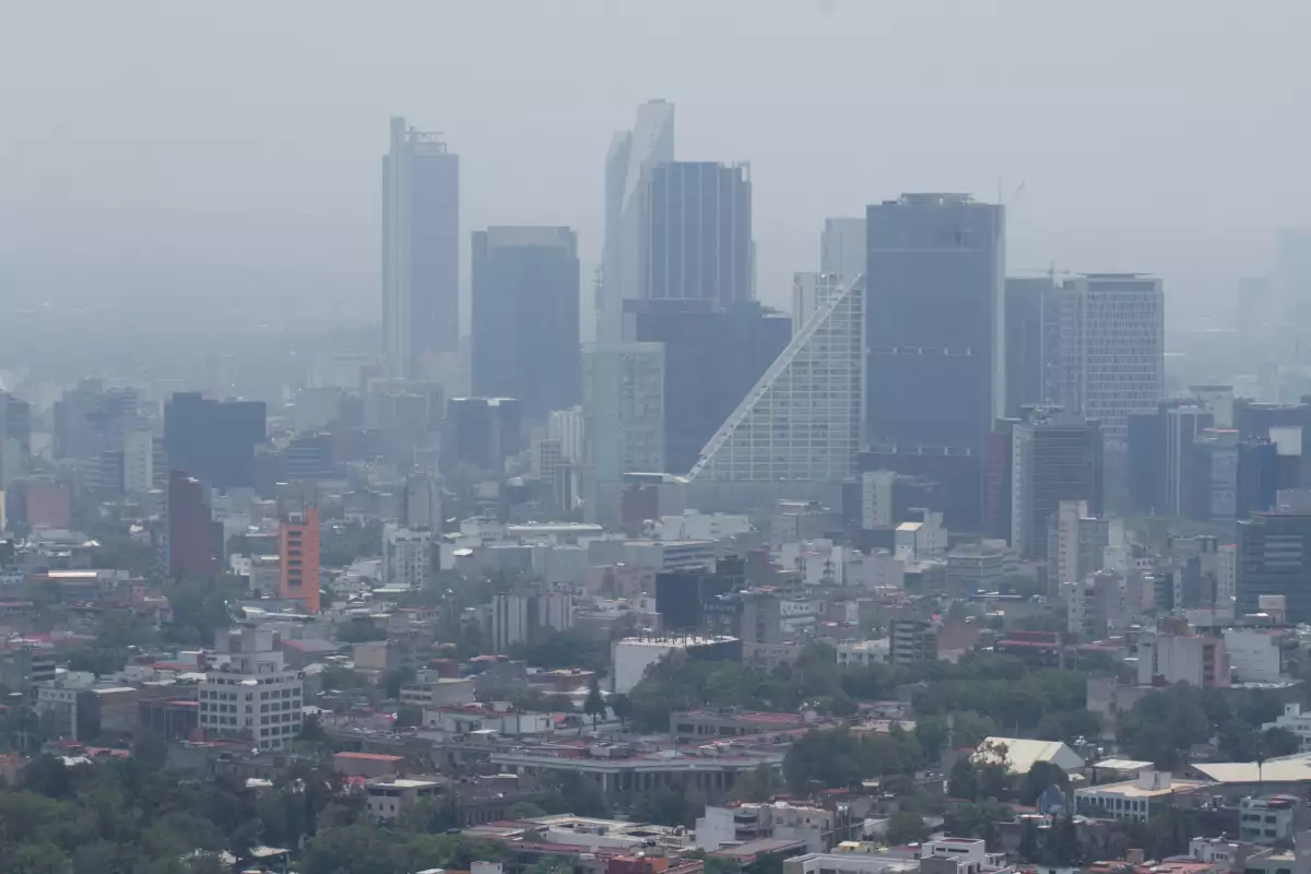 Niegan crisis ambiental