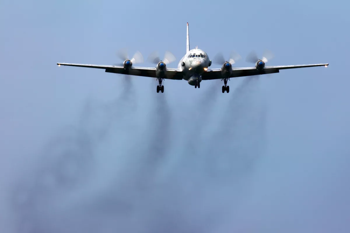 Adiós a la carne y los viajes en avión si se quiere salvar al mundo, dice la ONU