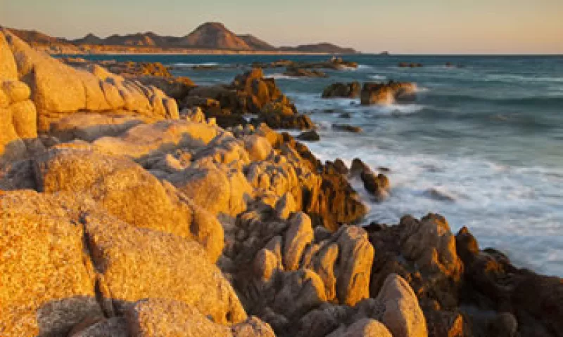 Cabo Pulmo es considerado un modelo de recuperación de arrecifes degradados. (Foto: tomada de cabopulmovivo.org)