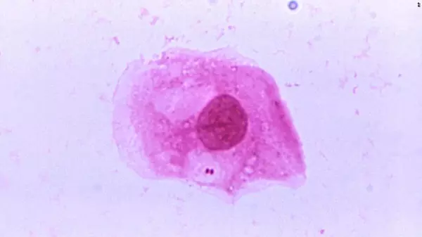bacteria 1.jpg