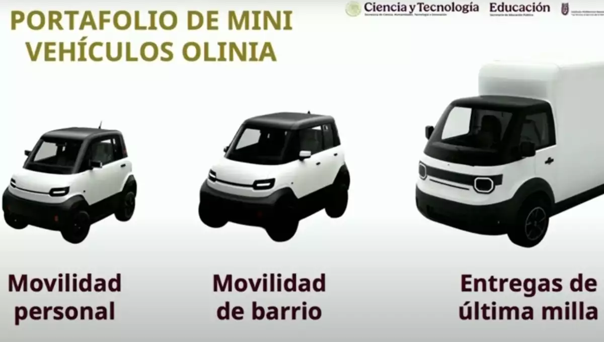 (Obligatorio)