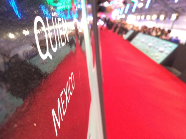 MTV EMA 2017
