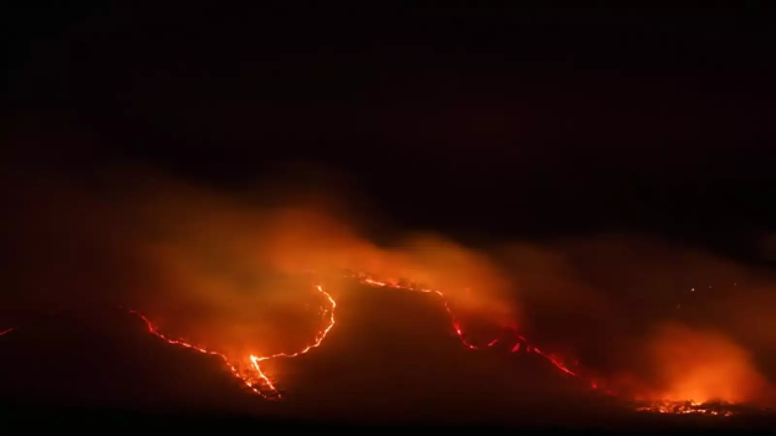 incendio La primavera guadalajara 7