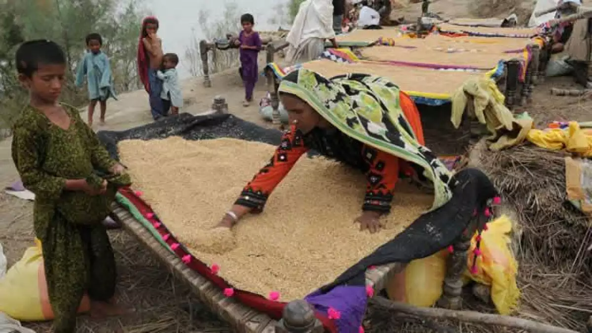 pakistan inundaciones 03