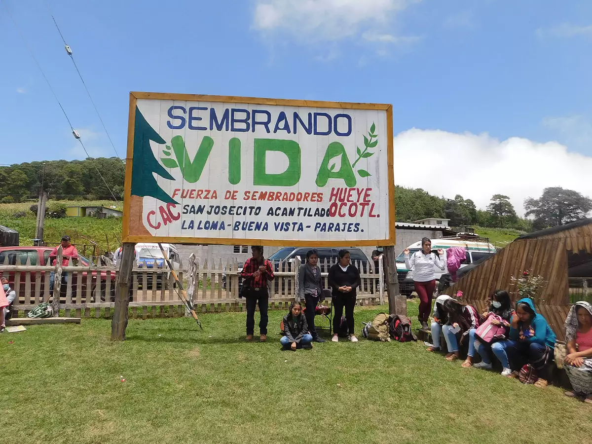 sembrando_vida.jpg