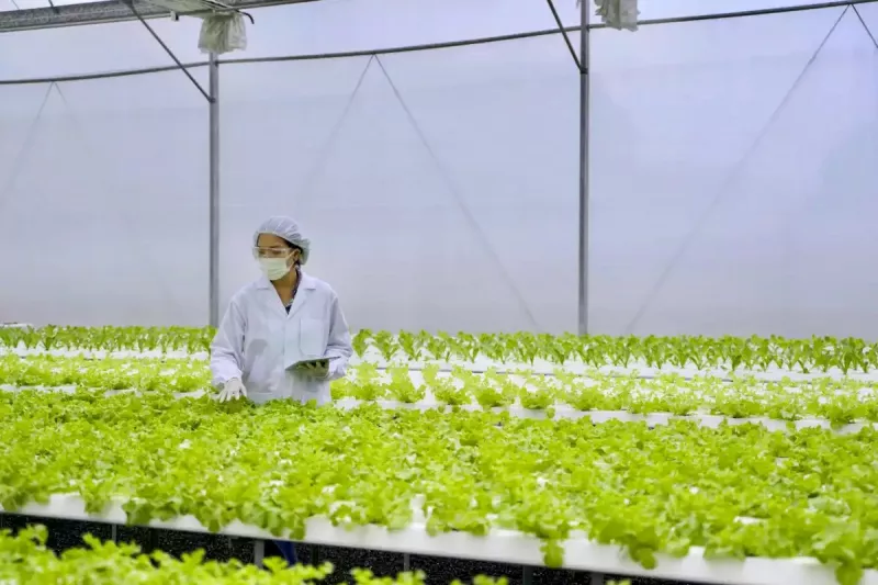 agricultura protegida