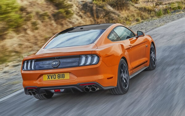 MUSTANG_55 back.jpg