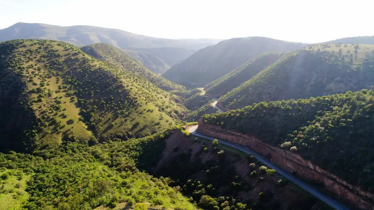 Las carreteras mexicanas ven mejoría en ingresos