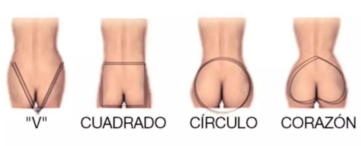 Y tú, ¿ya sabes lo que debes consumir o evitar de acuerdo a tu booy?