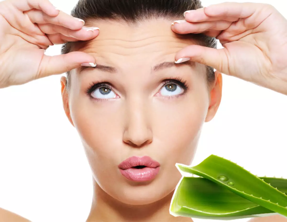 Además de ayudar con las quemaduras del sol, el aloe vera puede ser usado para cuidar la piel y el pelo. Descubre cómo puedes usar este gel en tu rutina de belleza.