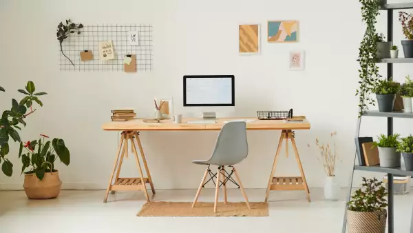 Comfortable workplace with potted plants, wall organizer, pictures and computer