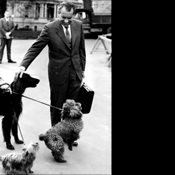 perros, presidente, eu, nixon