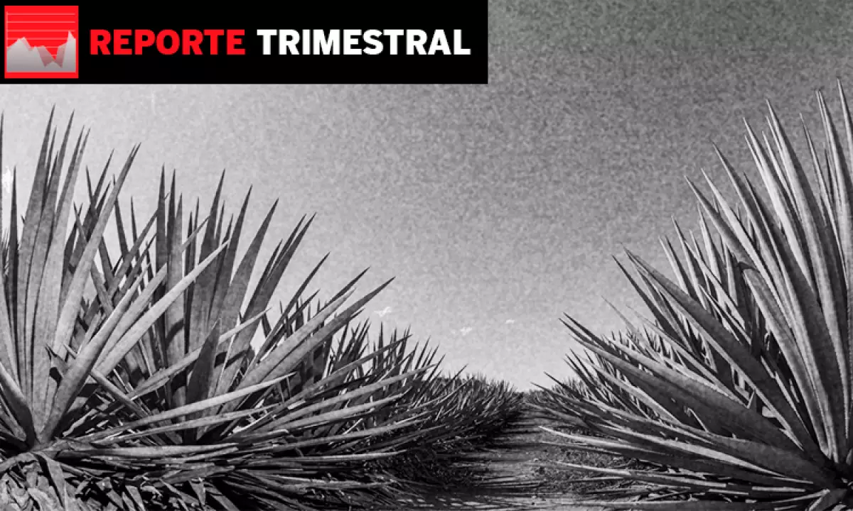 Cuervo reporte financiero.