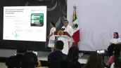 Pemex invertirá 93,000 mdp para desarrollar petroquímica y fertilizantes 