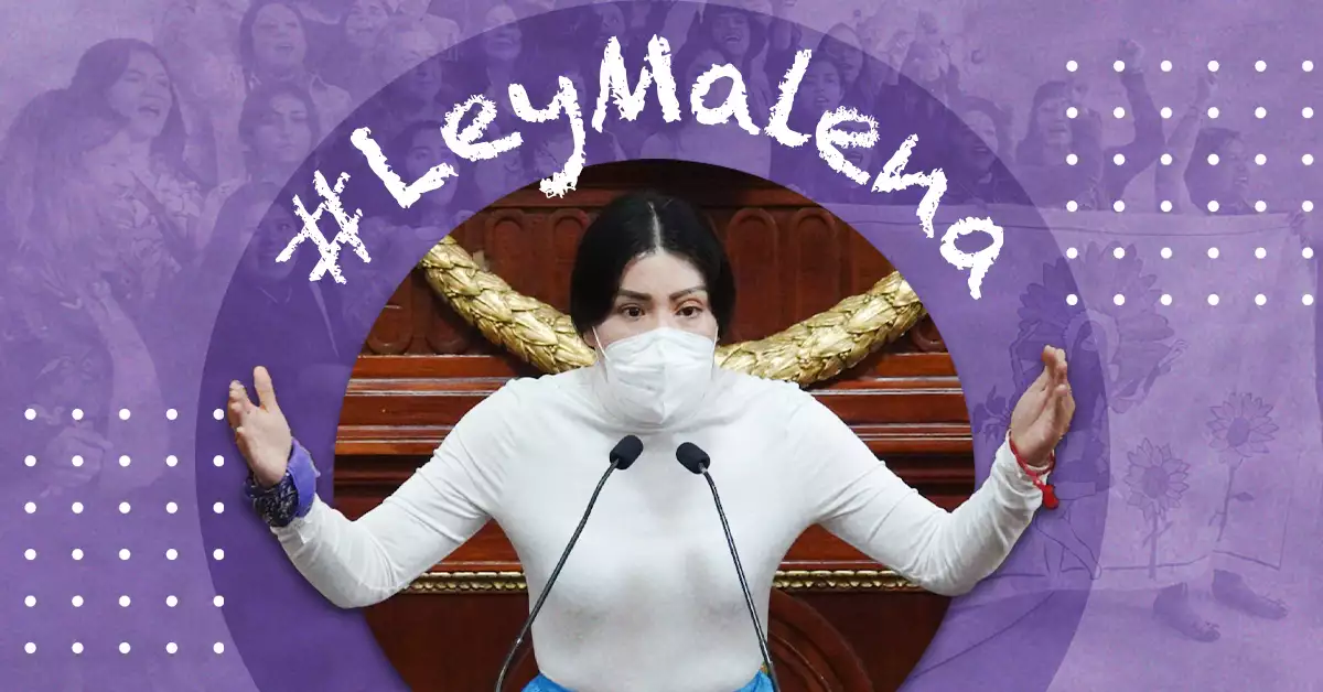 ley_malena_ataques_acido.jpg