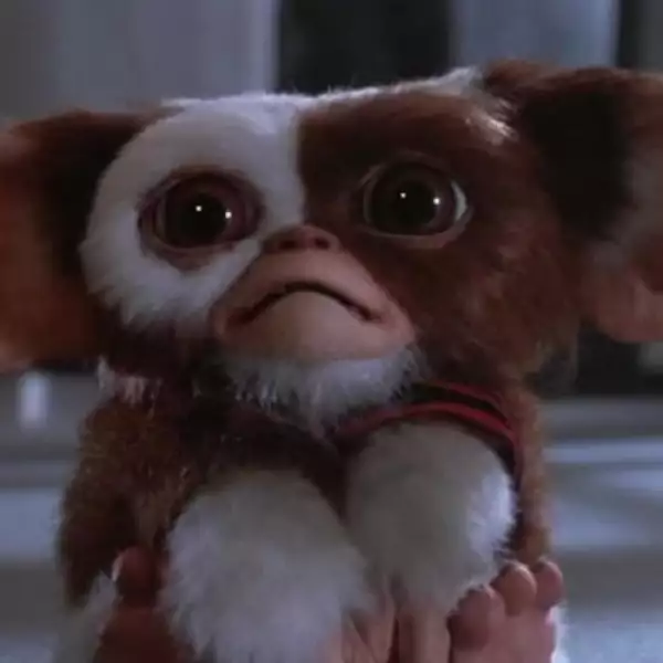 Esta terrorífica comedia cuenta la historia de Gizmo, un Mogwai, que Randall le da a su hijo Billy en Navidad. Gizmo debe vivir bajo ciertas condiciones, entre ellas nunca alimentarlo después de me...