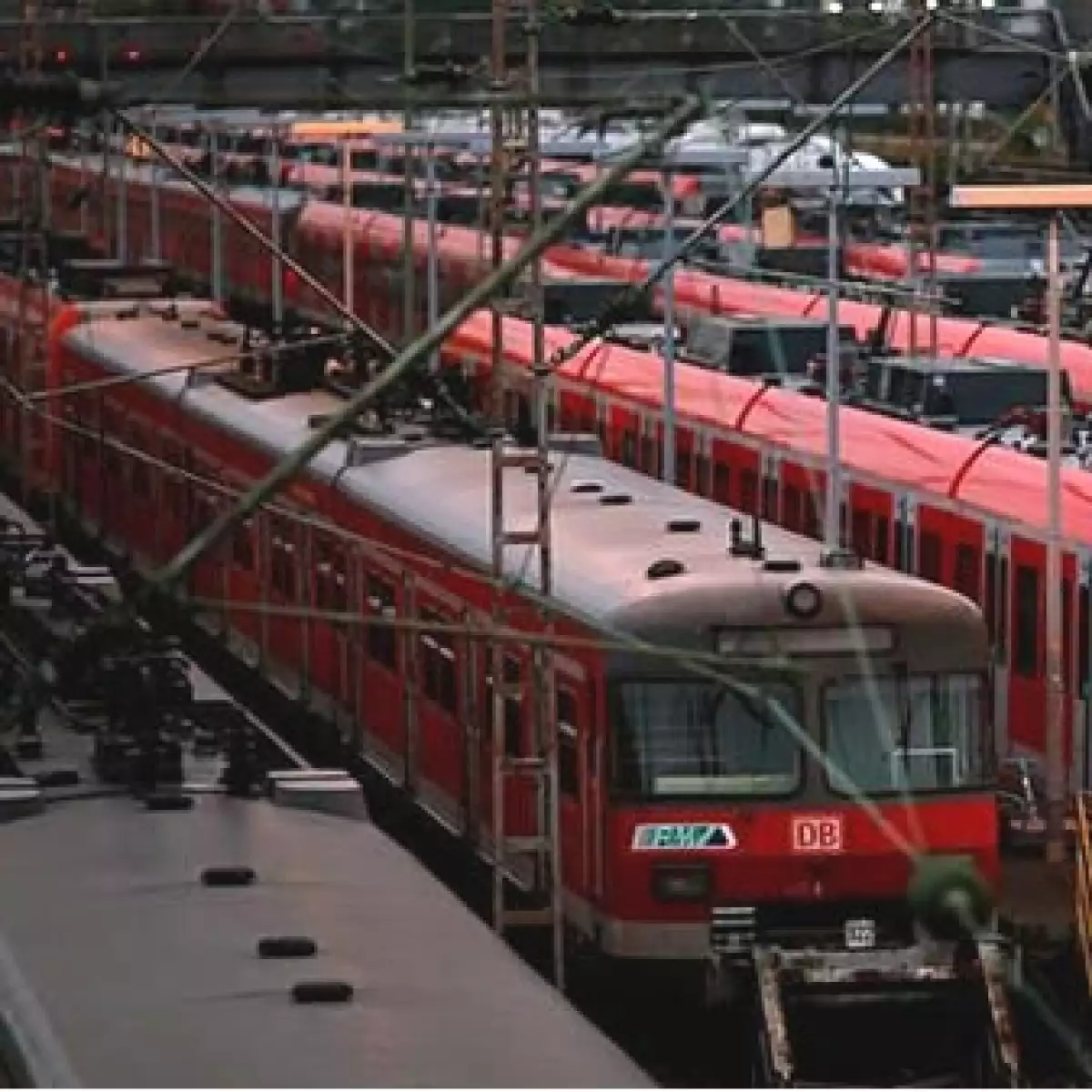 LOG Tren DB