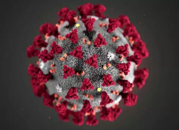 Coronavirus_micros.jpg