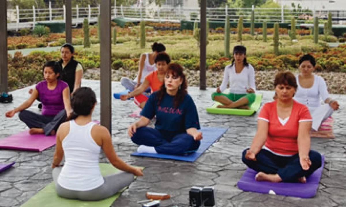 La azotea del Infonavit es un jardín con pista para corredores, espacio de yoga, hortalizas y un riachuelo. (Foto: Agustín Garza)