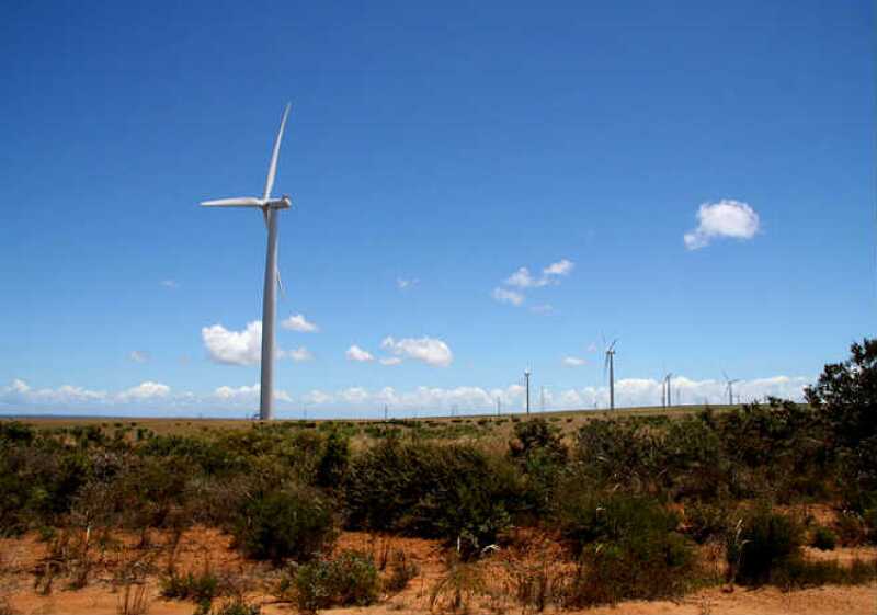 Planta E�lica