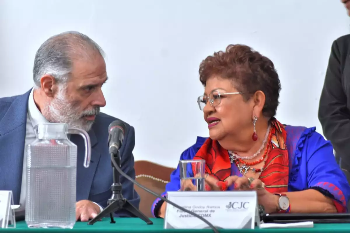Ratificacion-ernestina-godoy.jpeg