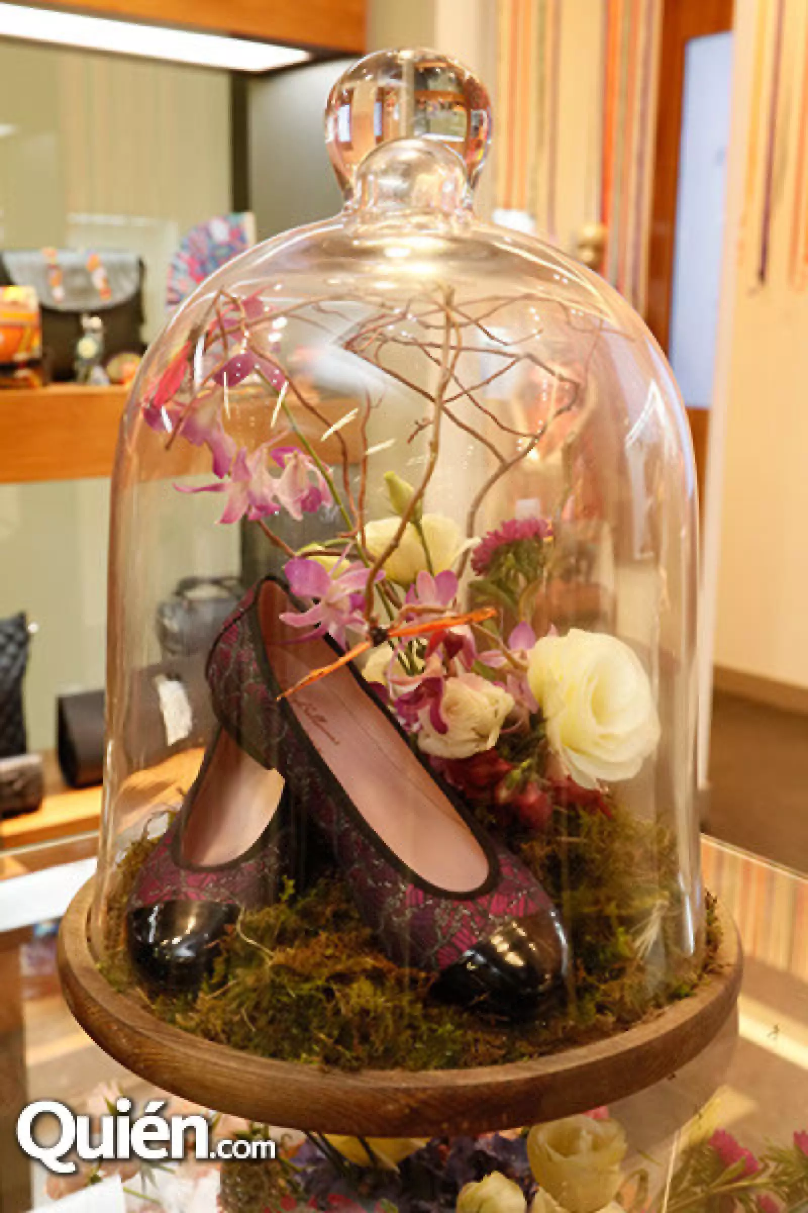 Coleccion Pretty ballerinas