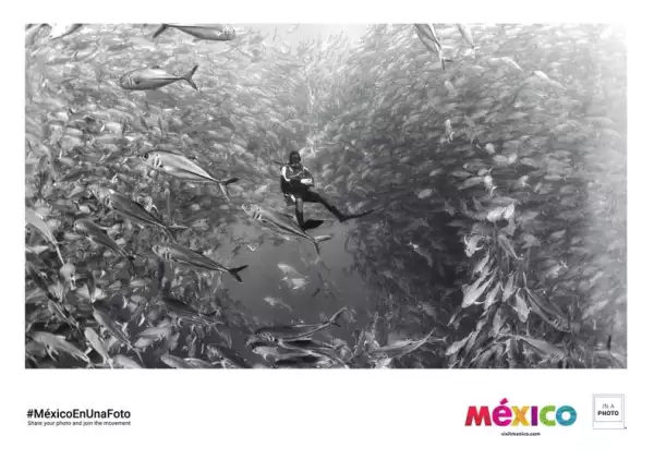 'Visit Baja California Sur'.