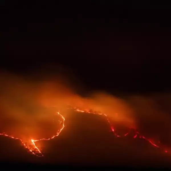 incendio La primavera guadalajara 7