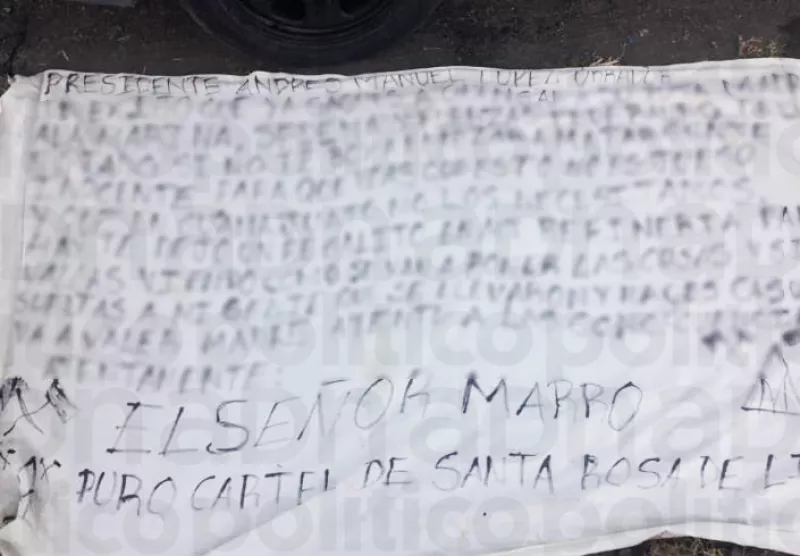 Manta-con-blur (1).png