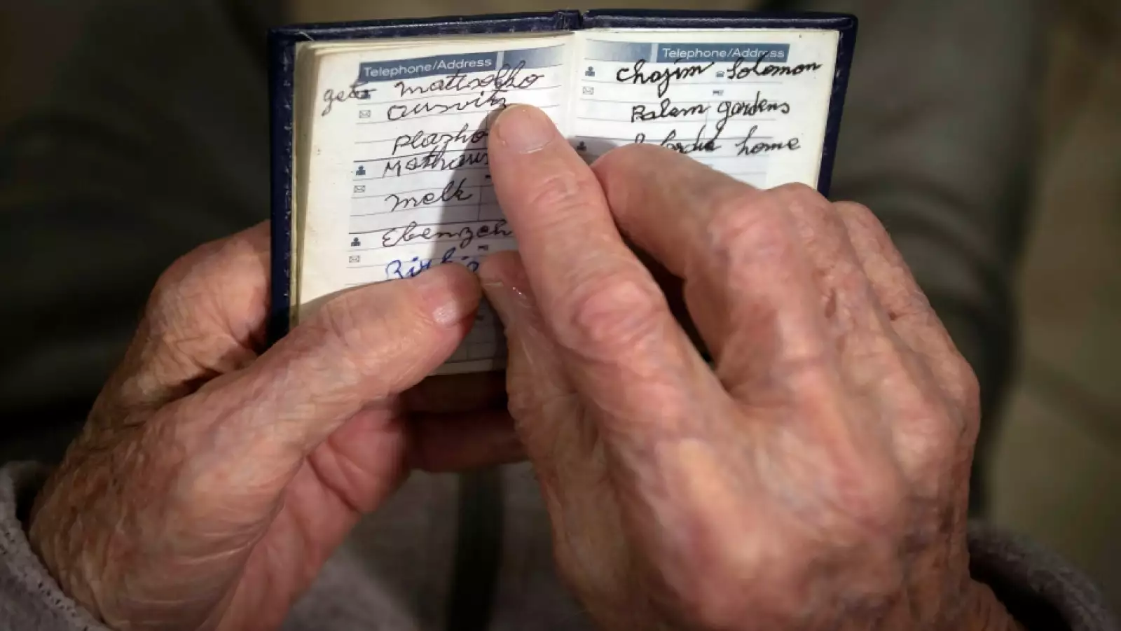 auschwitz 70 años 6