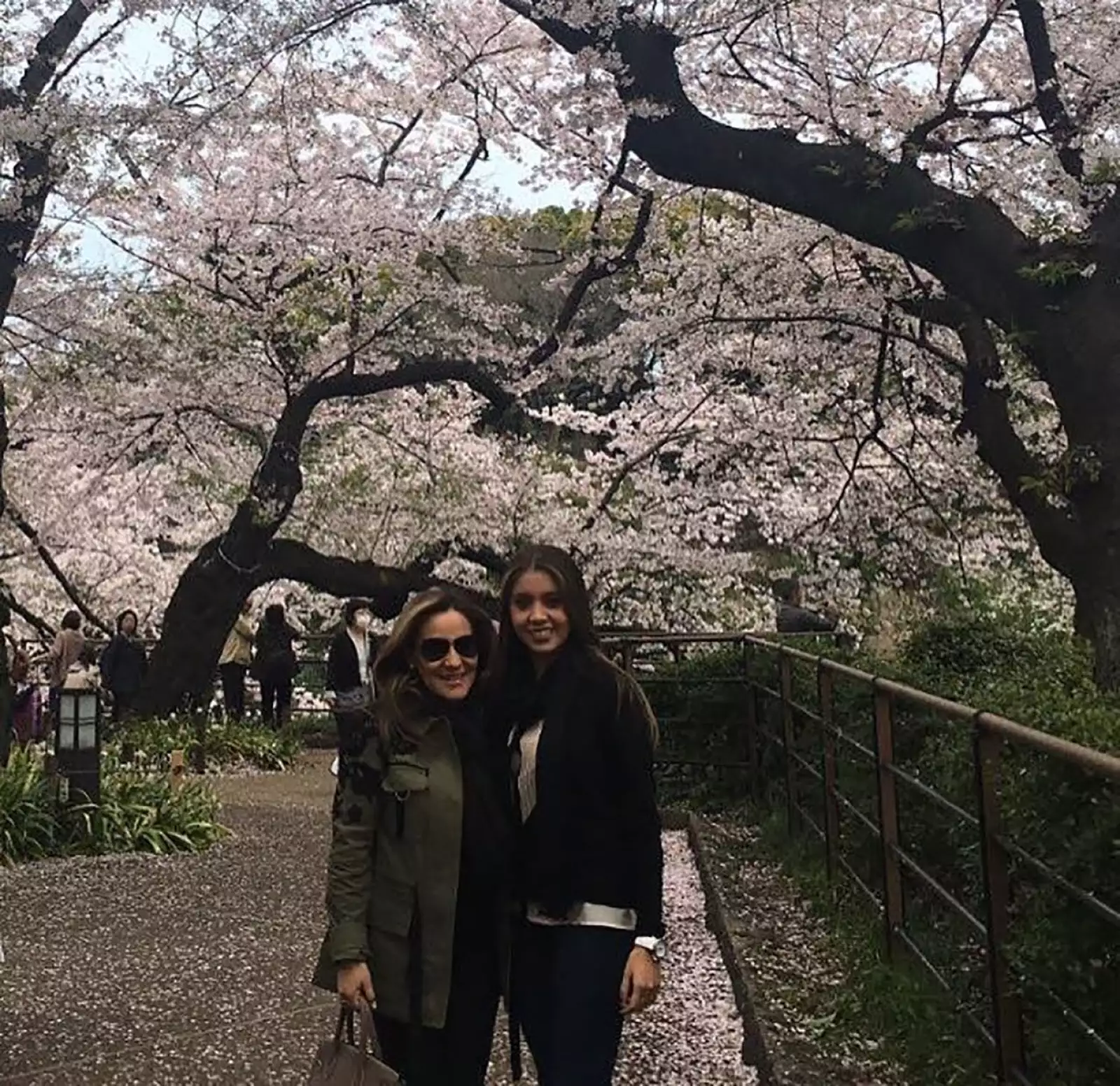 Enamoradas de Japón 