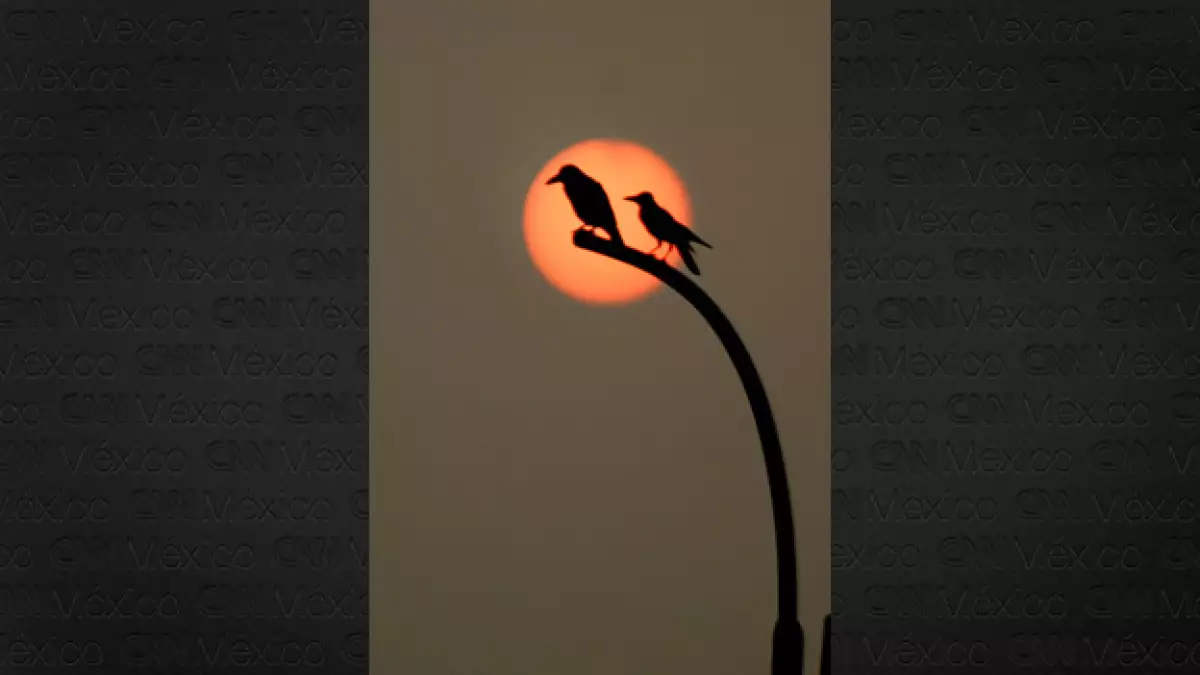 Kanuagon, en la India, tiene postes de luz, pero no electricidad