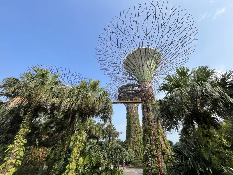 Árboles de Singapur