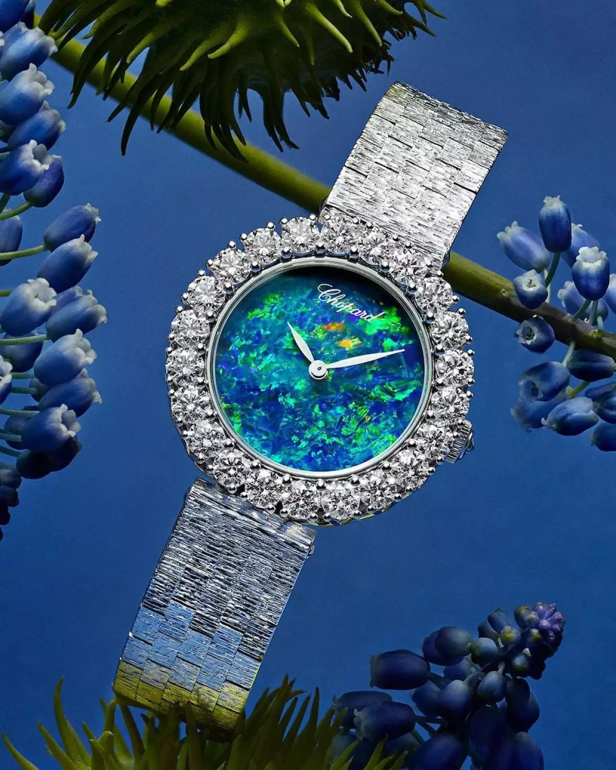 relojeria-chopard.jpg