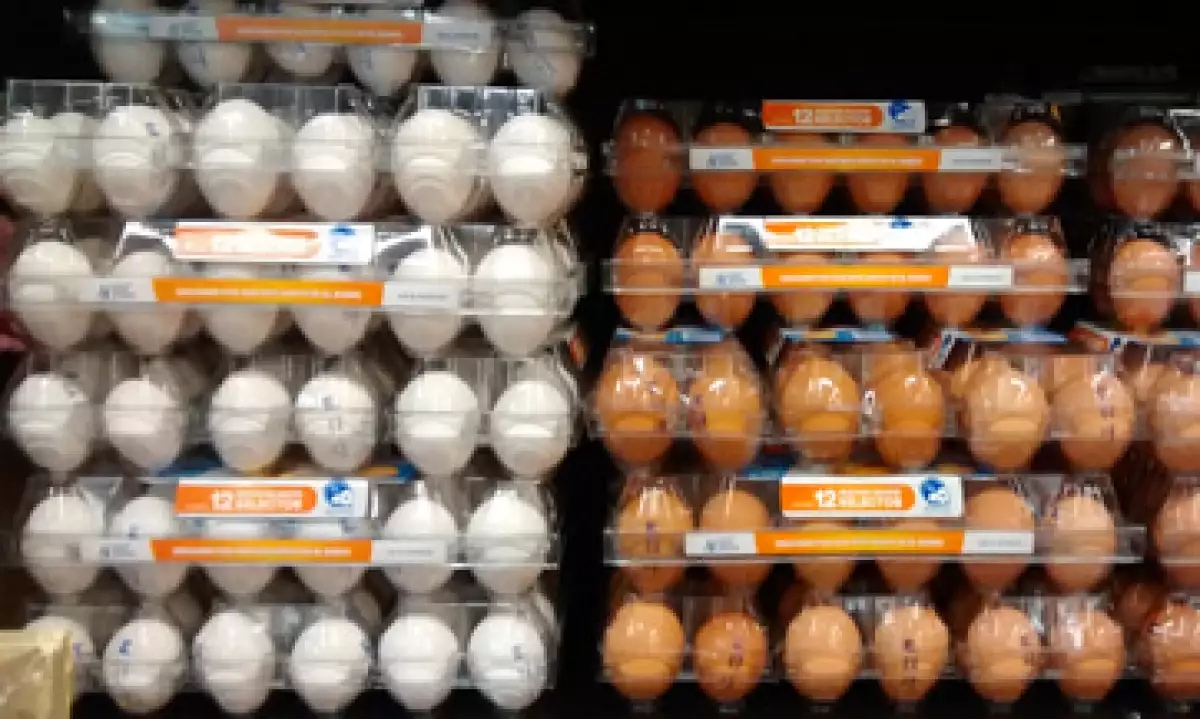 La CFCE investiga presuntas prácticas monopólicas en la comercialización del huevo. (Foto: Cuartoscuro)